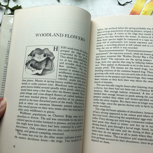 Idle Weeds: The Life of Sandstone Ridge by David Rains Wallace, hardcover ex lib - Picture 16 of 17